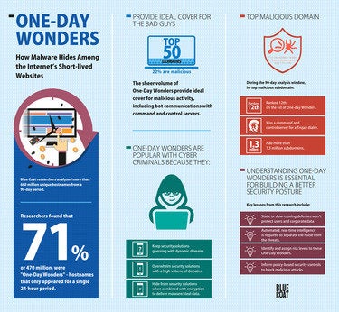 blue coat one day wonders infographic landscape light