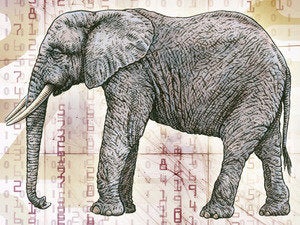 Hopes for Hadoop security ride on Apache Ranger