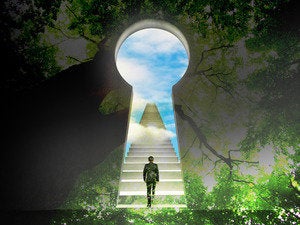 SDN and Network Virtualization: A Reality Check