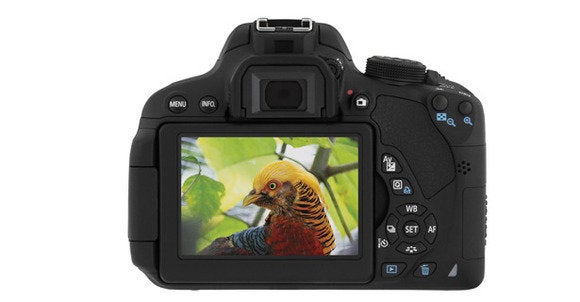 canon eos t5i back