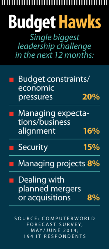 Computerworld Forecast 2015: Budget Hawks [chart]