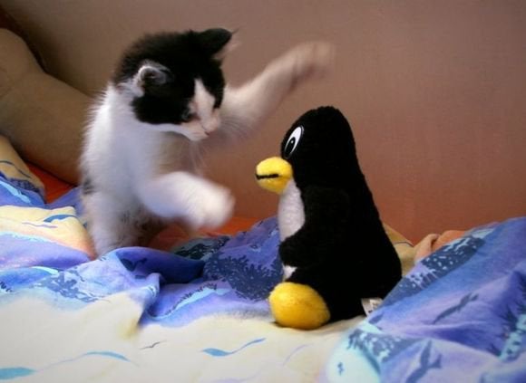 linux attack