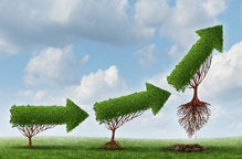 From medical records to Merkle trees with IPFS