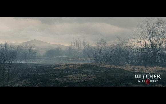 The Witcher 3