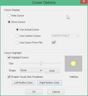 camstudio cursor settings