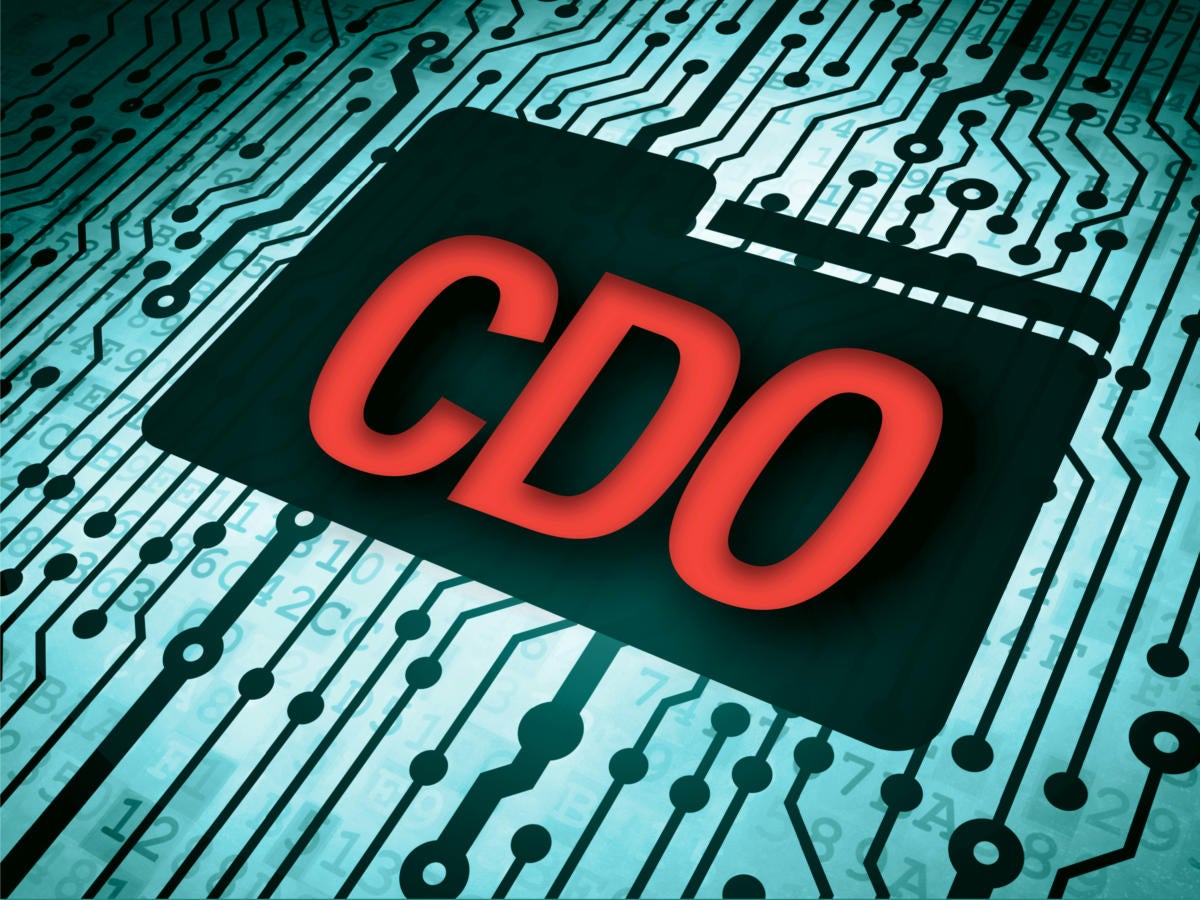 Chief Data Officer [CDO]