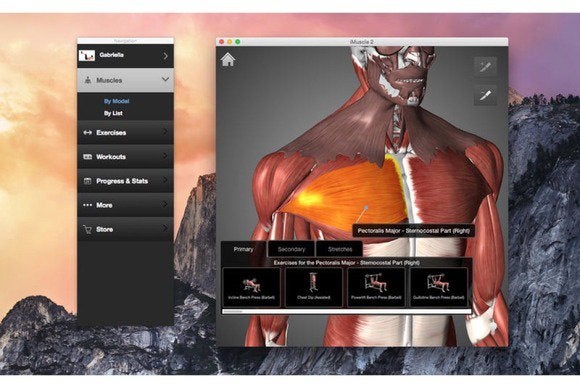 imuscle2