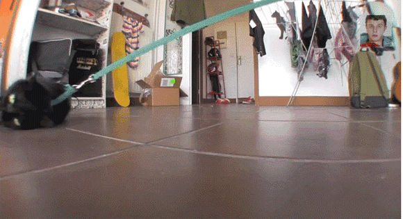 kitty cooperation 580