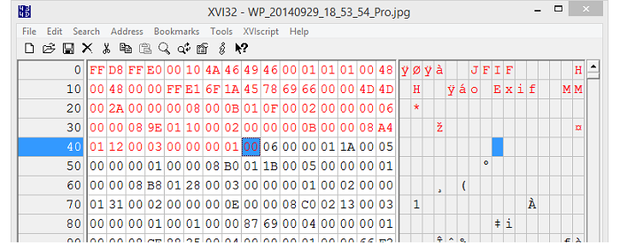 xv132 binary editor download