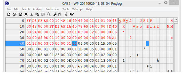 binary editor xvi32