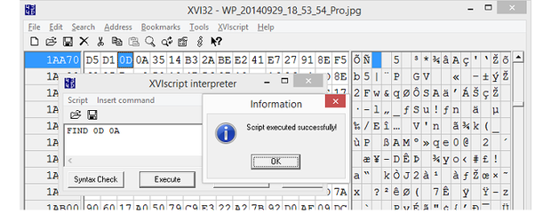 binary editor xvi32
