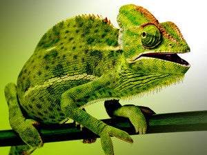 SUSE releases SUSE Linux Enterprise 12 Service Pack 2