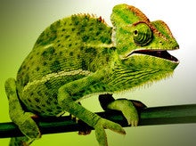 SUSE releases SUSE Linux Enterprise 12 Service Pack 2