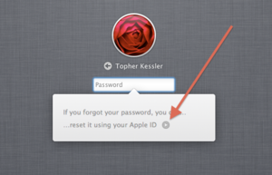 one password mac