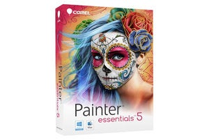painter essentials 5 box