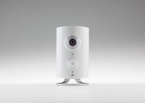 piper nv white
