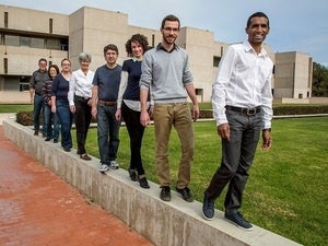 'Mini-brain' in spinal cord helps brain keep body balanced