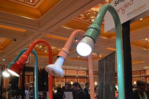 Sengled Bulbs
