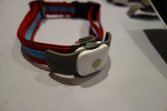 tagg plus gps