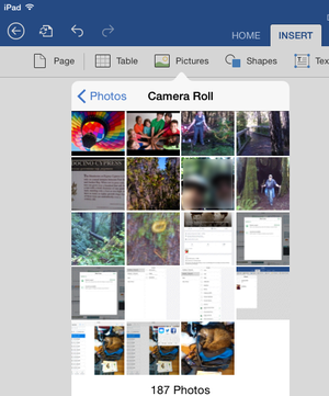 0226 insert image
