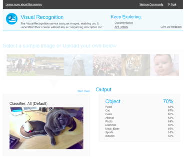 IBM Watson Visual Recognition Service