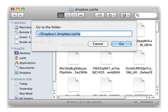 dropbox cache