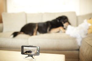 1 camiocam record with iphone