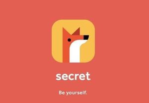 secret logo