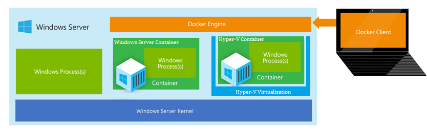 webtrees docker