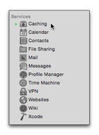 Caching Service