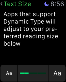 change text size apple watch