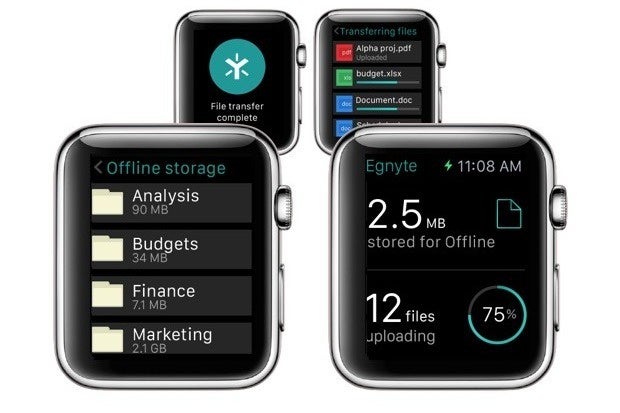 cio yet another reason to budget for an apple watch