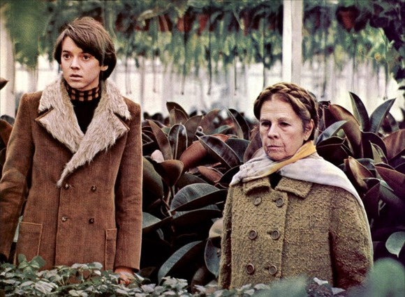 Harold and Maude