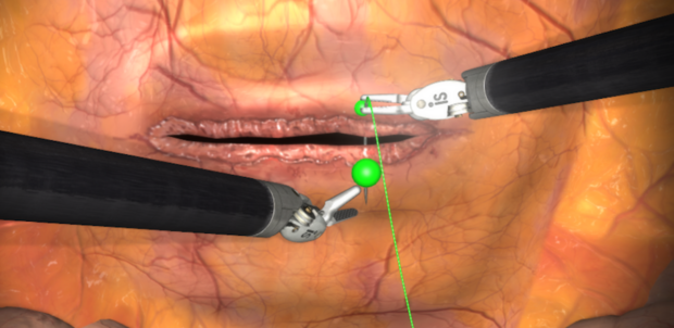 suture simulation Mimic
