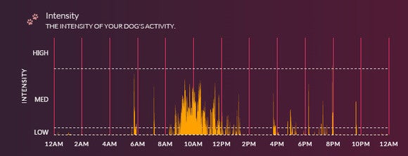 voyce intensity level graph