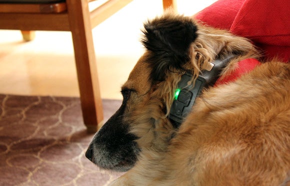 whiskey voyce led