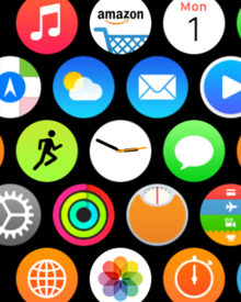 apple watch home screen icons one size reduce motion on