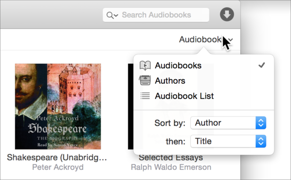 audibook view options