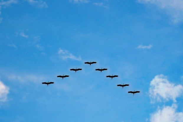 3 tips for successfully migrating data to the cloud