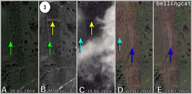 Comparing forest vegetation pic 3