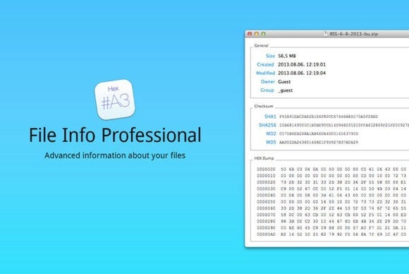 fileinfoprofessional
