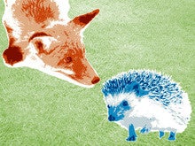 Decide if you’re a hedgehog or a fox