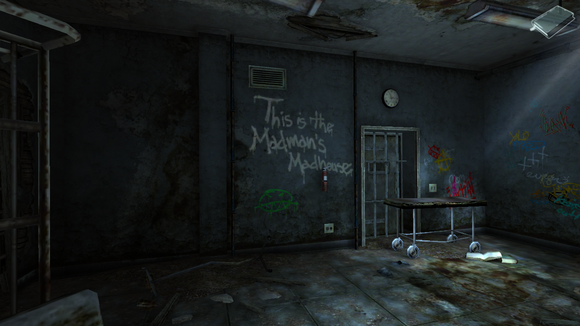 inside asylum