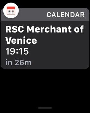 notification alert watch