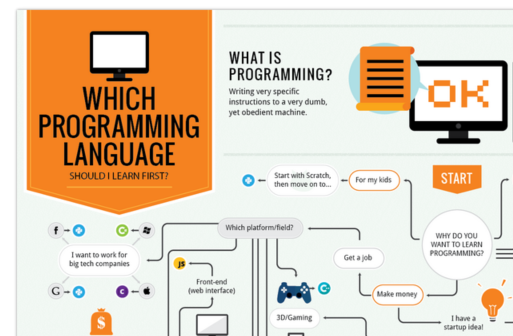 Find the right programming language to learn first with ...