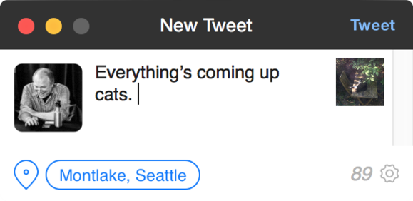 tweetbot 2 new tweet window