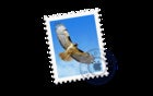 How to make sure your sent email is copied to the right location in Mail