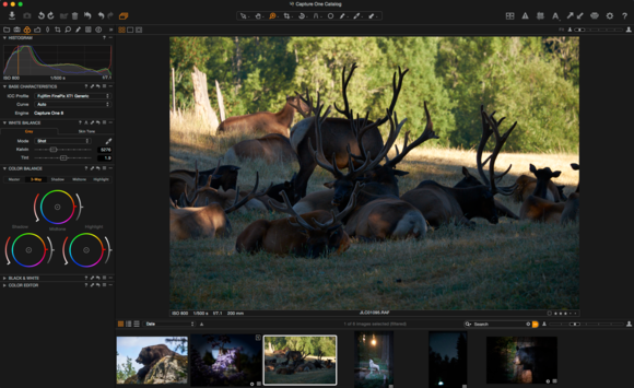 Capture One Raw adjust before