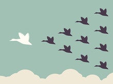 Lead, follow, or get out of the way of cloud