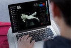 Cheap Macs, lightweight Macs, powerful Macs: How to pick the best Mac for school